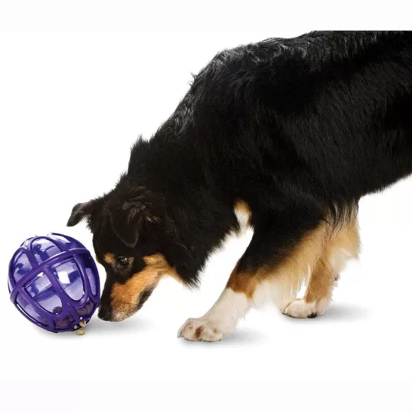 PetSafe Boule Distributrice De Nourriture Busy Buddy® Kibble Nibble