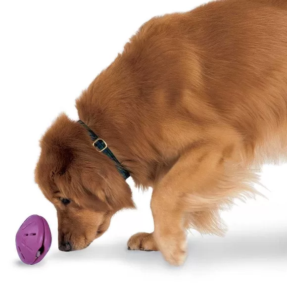 PetSafe Busy Buddy® Twist 'N Treat