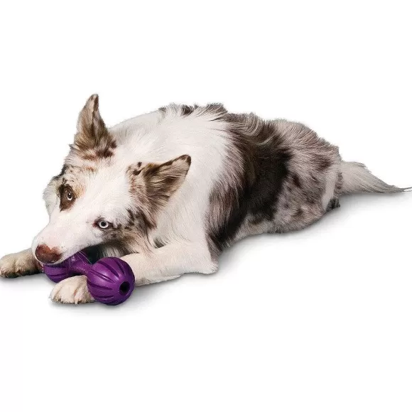 PetSafe Busy Buddy® Waggle