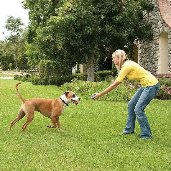 PetSafe Collier-R Cepteur Suppl Mentaire Add-A-Dog® Pour Le Syst Me Anti-Fugue Sans Fil Stay & Play® Wireless Fence