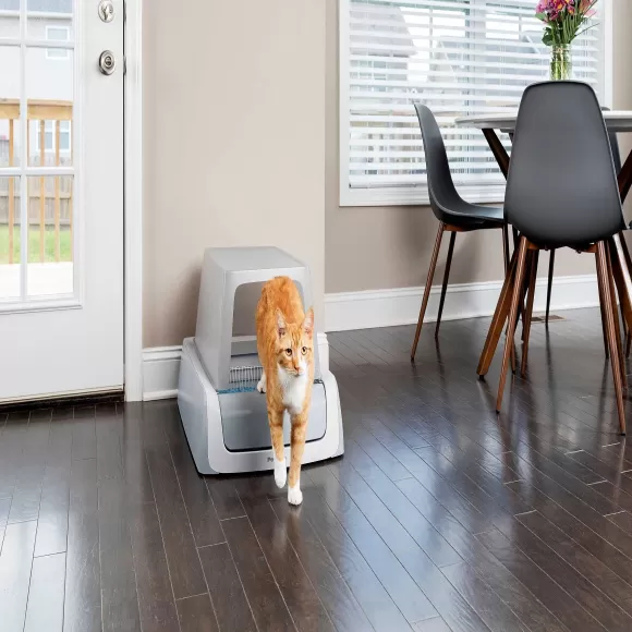 PetSafe Couvercle D'Intimit Pour Bac Liti Re Scoopfree