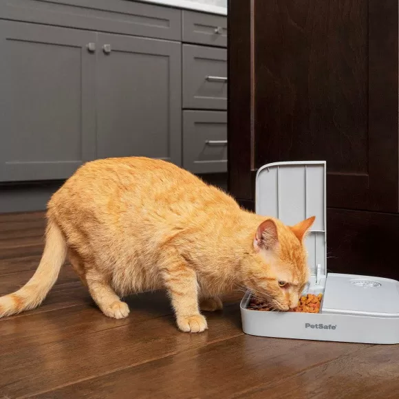 PetSafe Distributeur Automatique De Croquettes Pour 2 Repas De ®