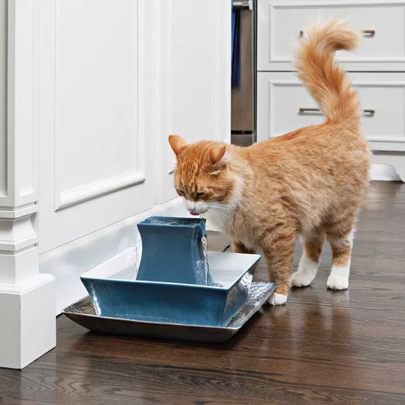 PetSafe Fontaine Pour Animaux De Compagnie Drinkwell® Pagoda