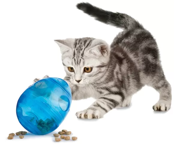 PetSafe Funkitty Egg-Cersizer