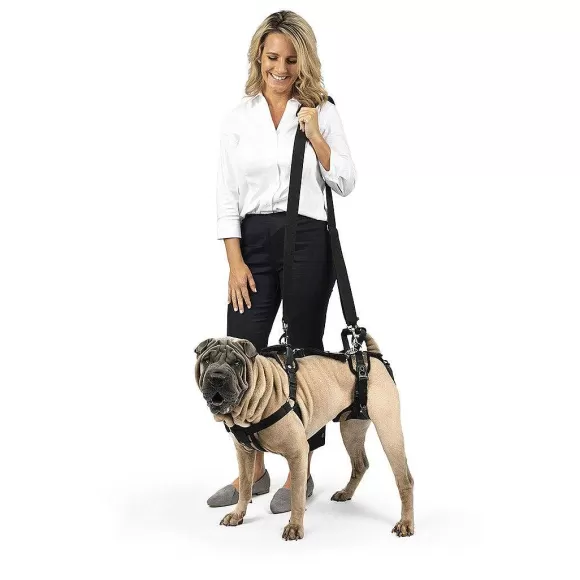 PetSafe Harnais De Levage Carelift De ®