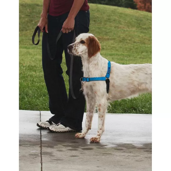 PetSafe Harnais Deluxe Easy Walk®