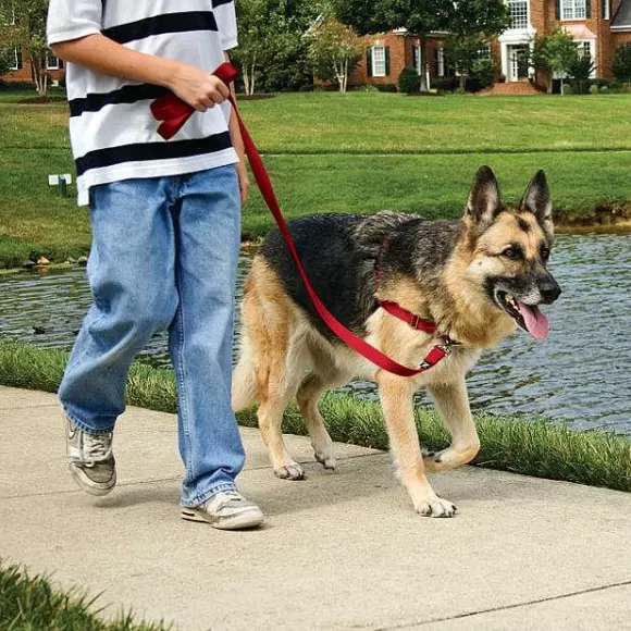 PetSafe Harnais Easy Walk®