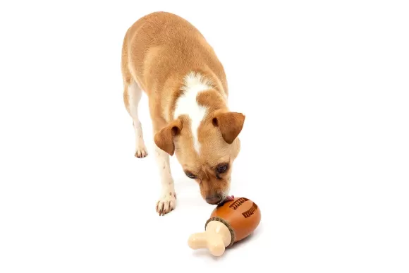 PetSafe Jouet Friandises Chompin' Chicken Pour Chien