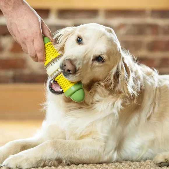 PetSafe Jouet Friandises Cravin' Corncob Pour Chien