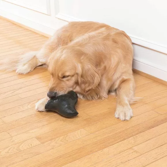 PetSafe Jouet M Cher Pour Chien Toile De Ninja Squeak 'N Treat