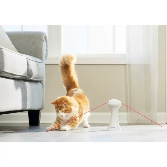 PetSafe Jouet Multi-Lasers