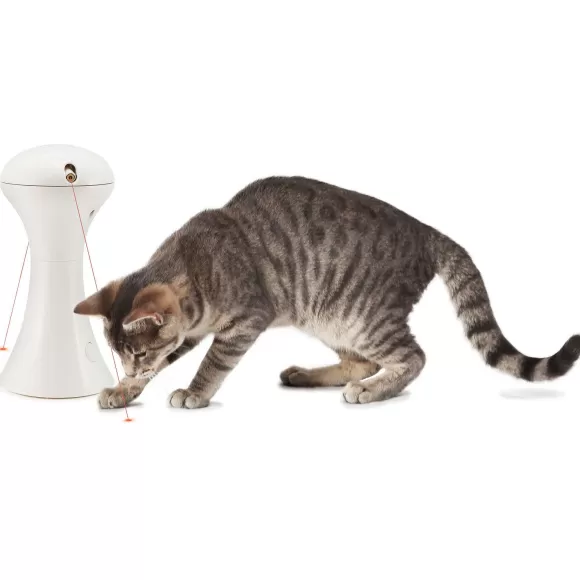 PetSafe Jouet Multi-Lasers