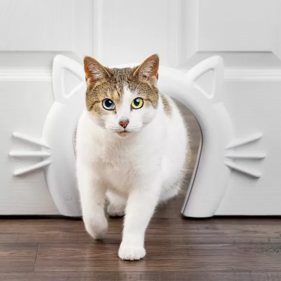 PetSafe Passage Pour Chat Cat Corridor