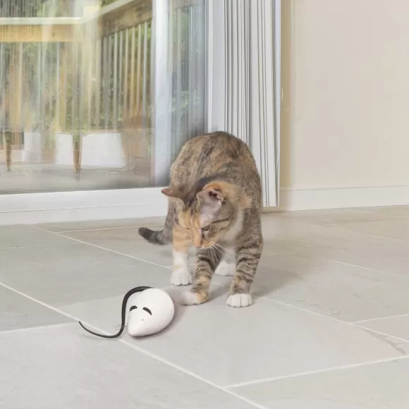 PetSafe Rolorat Jeu Casse-T Te Automatique Pour Chats