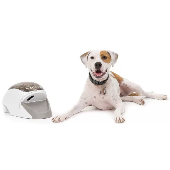PetSafe Treat & Train Manners Minder Dispositif De Dressage Pour Chien Par La R Compense Distance